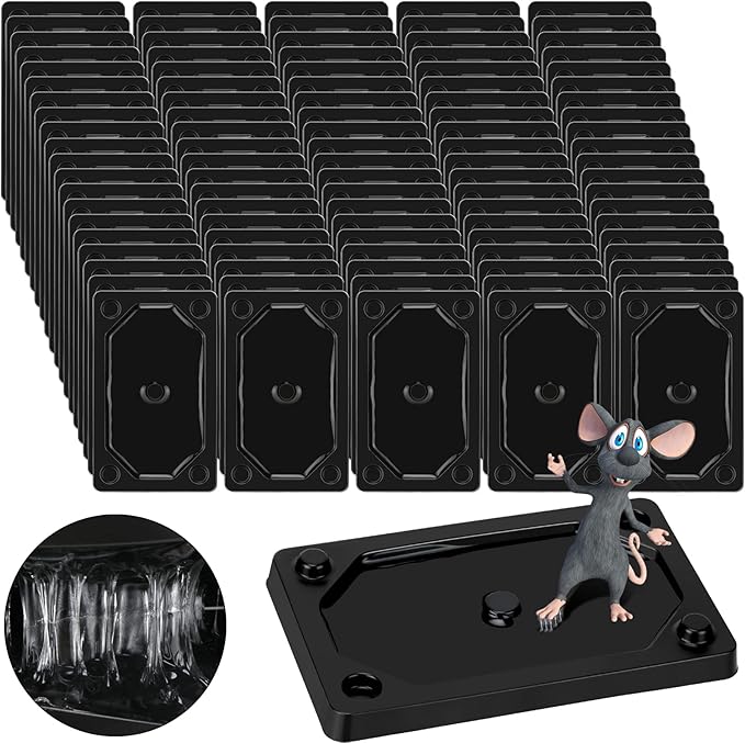 Qualirey 64 Pieces Mouse and Insect Glue Traps Heavier Sticky Traps with Non-Toxic Glue for Mice