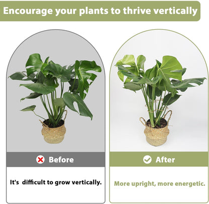 PRETTY JOLLY 5PCS Iron Monstera Plant Support Stakes Premium Plant Stand for Indoor & Outdoor