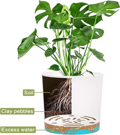 QCQHDU 5 inch Plant Pot, 2 Pack Planters for Indoor Plants with Drainage Holes & Saucer, Outdoor