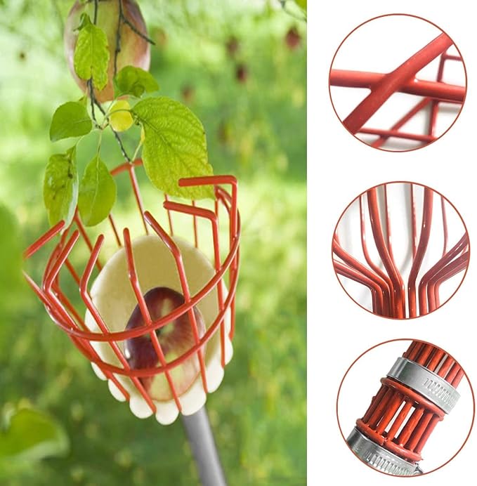 COCONUT Fruit Picker Pole with Basket Telescoping, 10 FT Fruit Picker Tool for Mango Orange Lemon