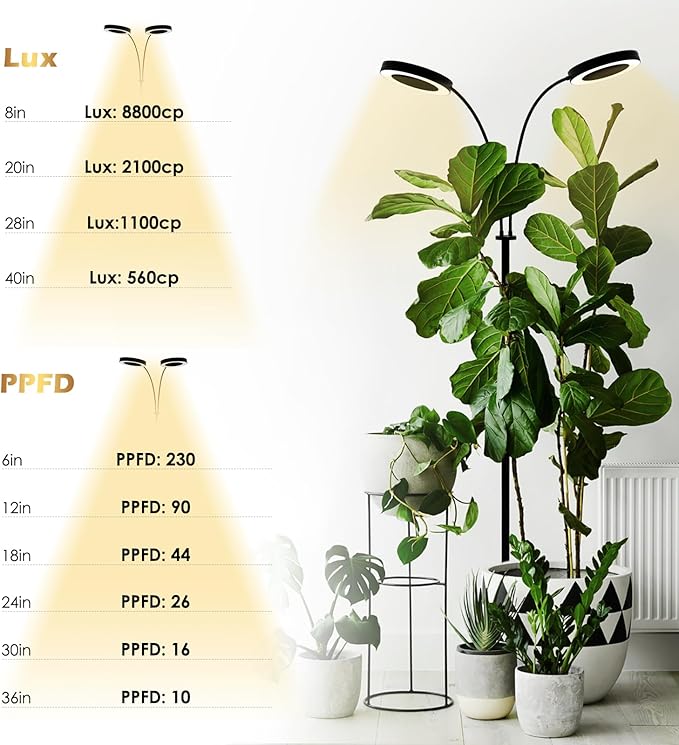 GLOWRIUM Grow Light with Stand,2-Head LED Plant Light for Indoor Plants, Full Spectrum Grow Lamp
