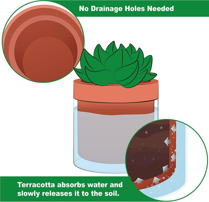 Phoenix Vine 4 Inch Self Watering Planter Pot, Terracotta Clay Pot with Glass Reservoir for Indoor