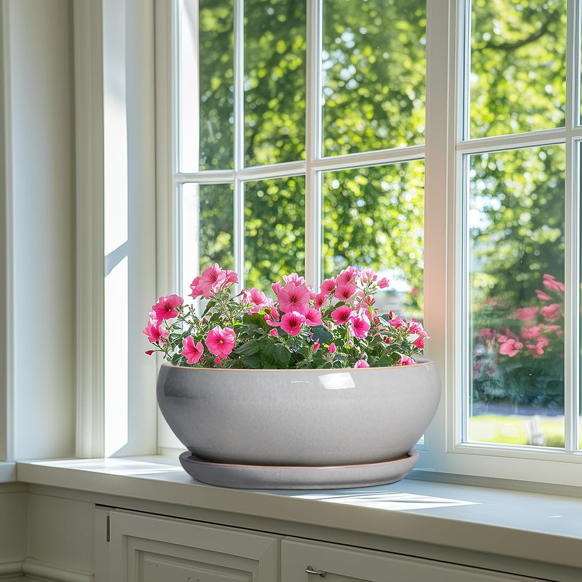 SQOWL 12 Inch Bonsai Pots - Large Ceramic Succulent Pots with Drainage Hole and Saucer, Shallow