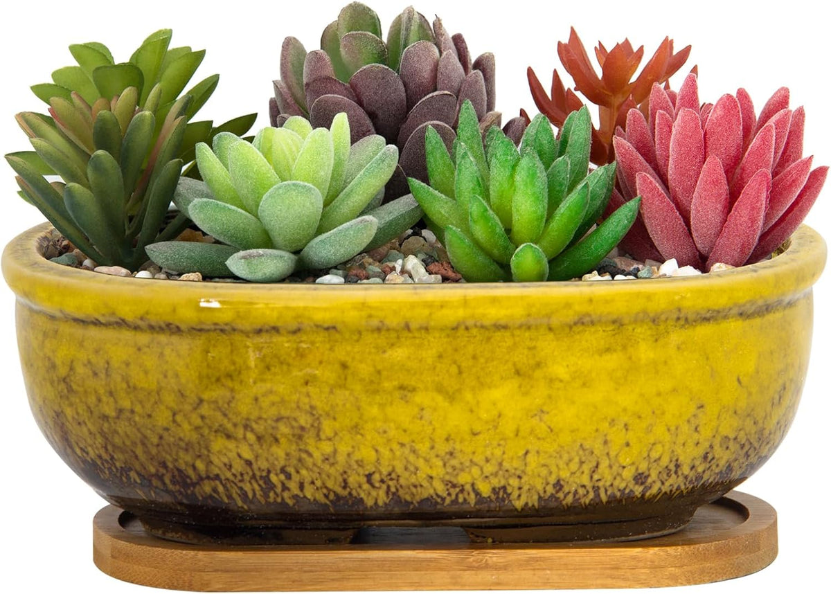 Succulent Pots, 7.9 Inch Long Rectangular Succulent Planters with Drainage Tray, Shallow Planters