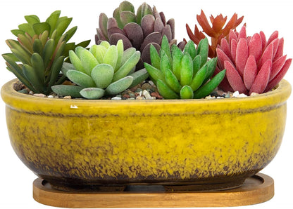 Succulent Pots, 7.9 Inch Long Rectangular Succulent Planters with Drainage Tray, Shallow Planters