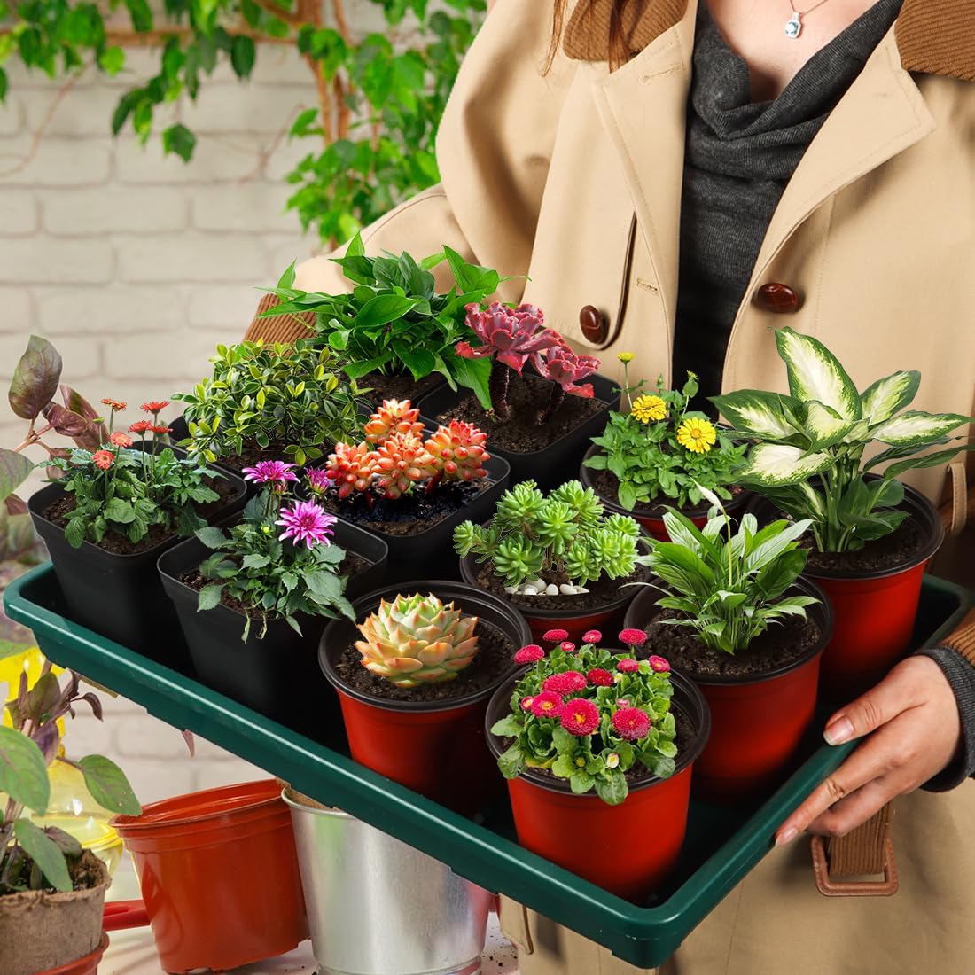 5 Pack Seed Starter Trays (17"x11"x2"), Plastic Flat Nursery Pots Trays, Durable Carrying Seedling