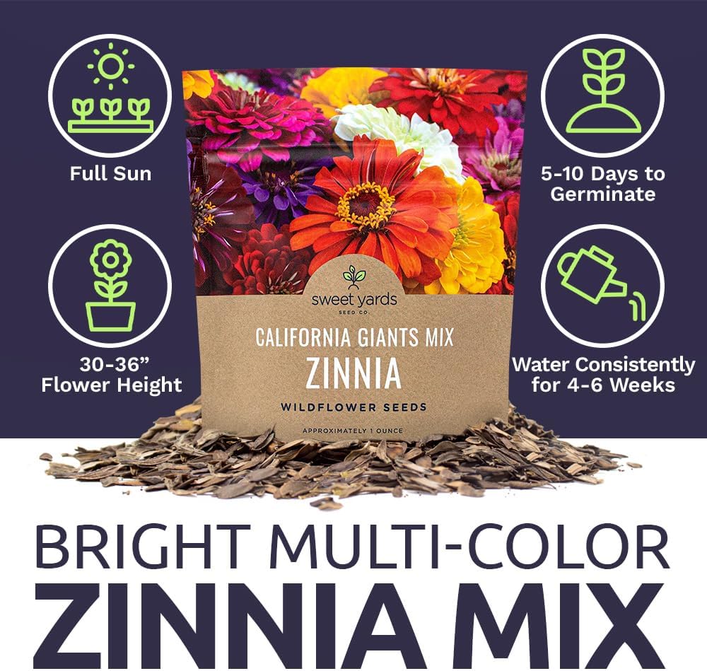 Zinnia Seeds - California Giants Mix - Large 1 Ounce Packet - 3,000 Flower Seeds - Mixed Colors and