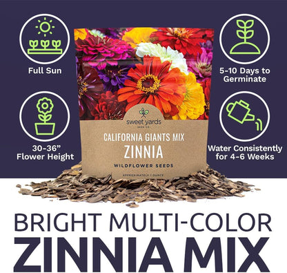 Zinnia Seeds - California Giants Mix - Large 1 Ounce Packet - 3,000 Flower Seeds - Mixed Colors and