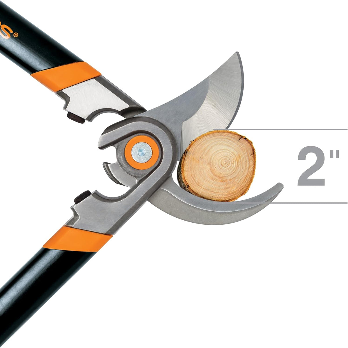 Fiskars Forged Lopper with Replaceable Blade (30 Inch)