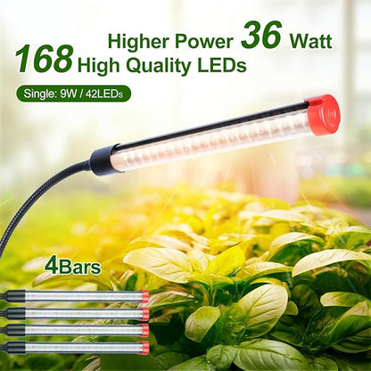 4-Head Desk Grow Lights for Indoor Plants, Seed Starting, Bonsai, Succulent, Cactus with Timer, 36W