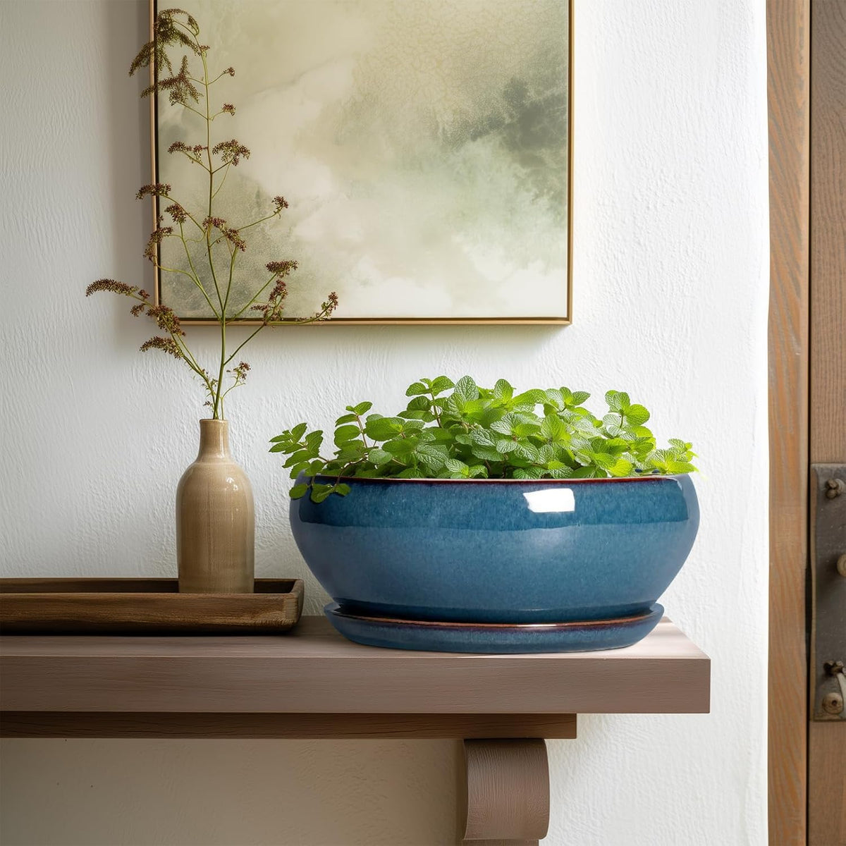 SQOWL Bonsai Pots 10 Inch - Large Ceramic Succulent Pots, Shallow Planter with Drainage Hole and