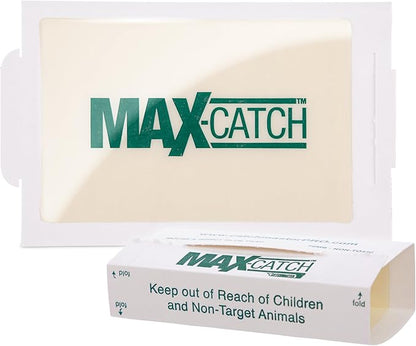 Catchmaster Max-Catch Mouse & Insect Glue Trap 72pk, Mouse Traps Indoor for Home, Sticky Pest