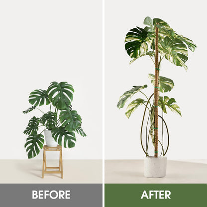 Moss Pole, 63 Inch Bendable Moss Pole for Plants Monstera, Moss Poles for Climbing Plants, Handmade
