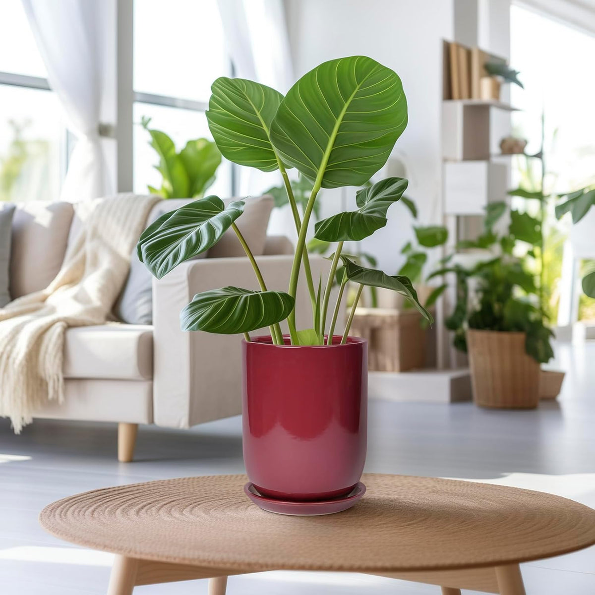 Ceramic Pot for Plants - 8 Inch Plant Pot Indoor with Drainage Hole and Saucer Cylinder Flower Pot