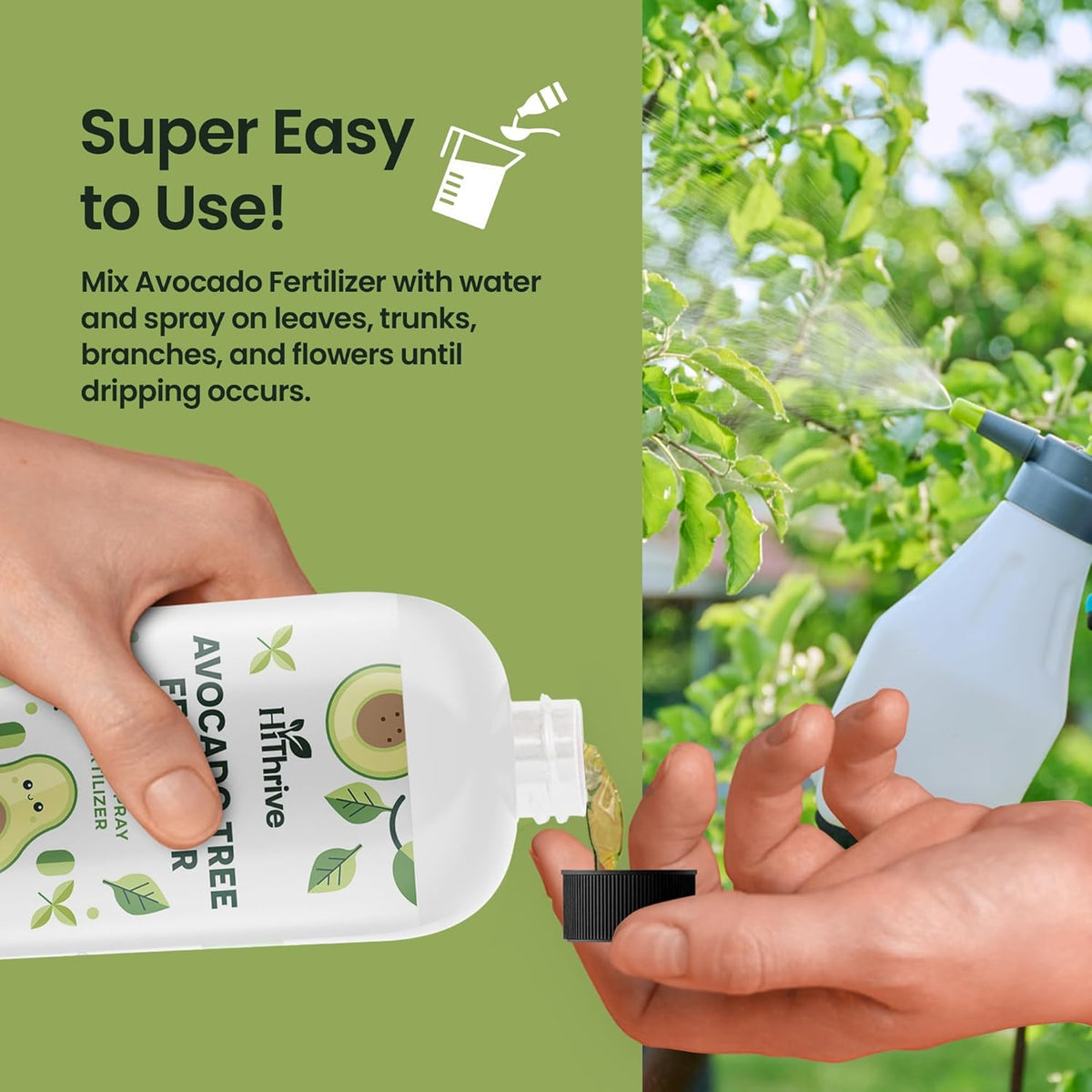 16oz Fruit Tree Fertilizer for Avocados - Makes 32 Gallons of Avocado Tree Fertilizer, Premium