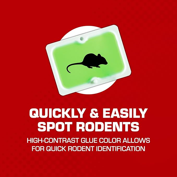 Tomcat Super Hold Glue Traps Mouse Size for Mice, Cockroaches, Spiders, and Scorpions