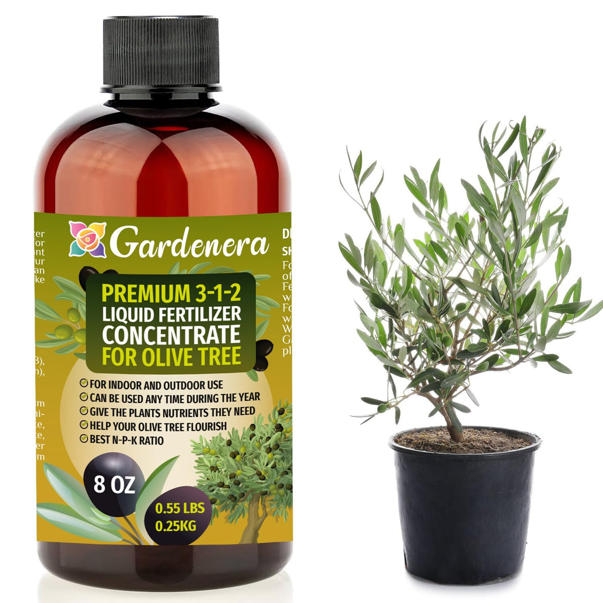 Premium Liquid Olive Tree Plant Fertilizer - 3-1-2 Concentrate for Indoor Plants and Flowers by