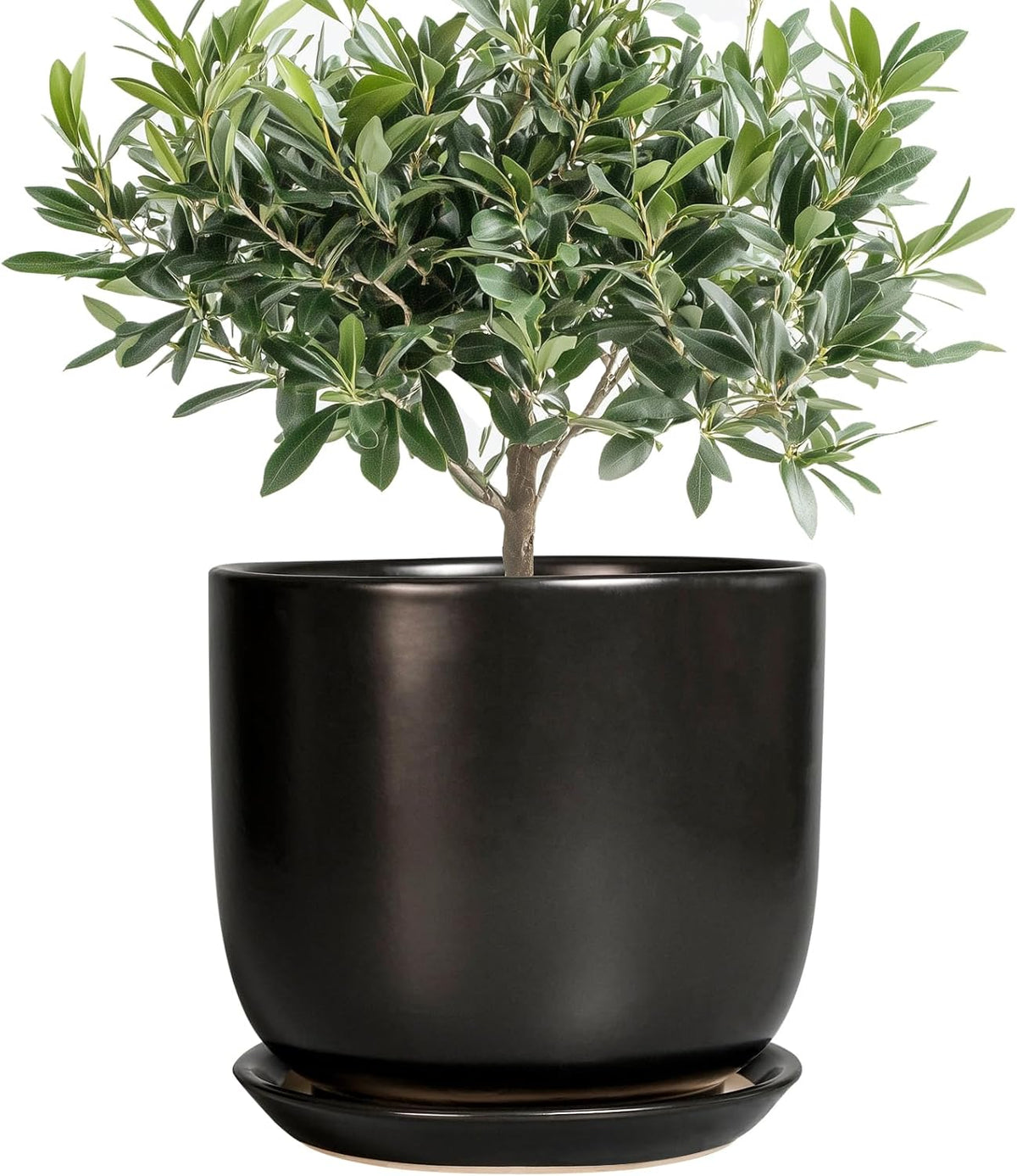Ceramic Flower Pot 8 Inch - Modern Round Planter for Indoor Outdoor Plants with Drainage Hole and