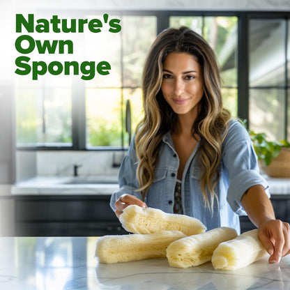 HOME GROWN Luffa Seeds 2 Pack(Luffa aegyptiaca)80 Heirloom 𝗡𝗢𝗡-𝗚𝗠𝗢,𝗨𝗦𝗔-𝗦𝗢𝗨𝗥𝗖𝗘𝗗