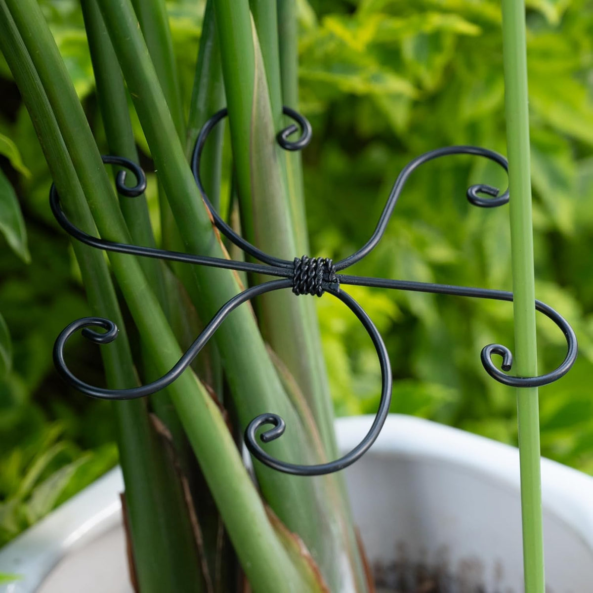 Black Monstera Plant Support Hook - 6.5 * 6.5IN -5 Piece Set, Durable Metal Stem Supports for