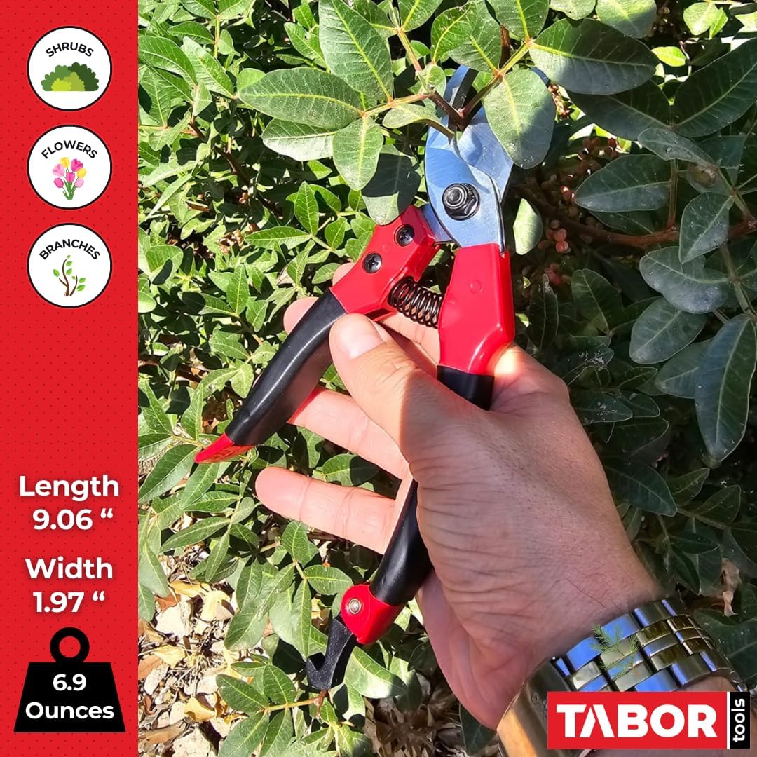 TABOR TOOLS S821A Bypass Pruning Shears, Makes Clean Cuts, Great for S-M Size Hands. Professional