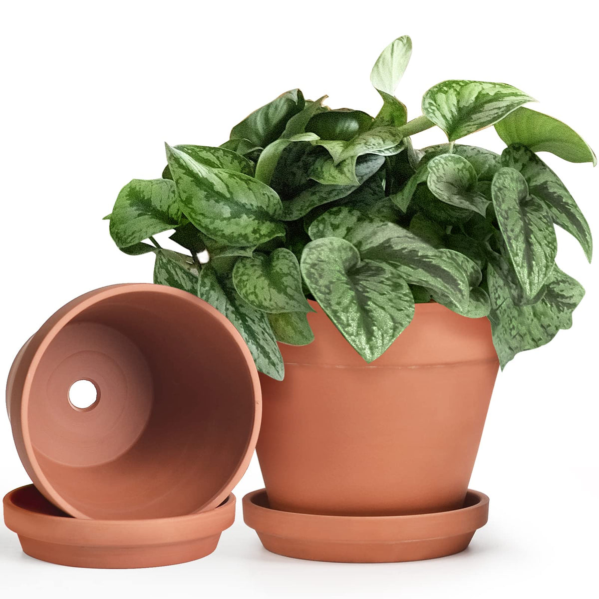 INGOFIN Terracotta Pots Set with Saucer - 2-Pack Ceramic Clay Planters with Drainage Hole, Garden