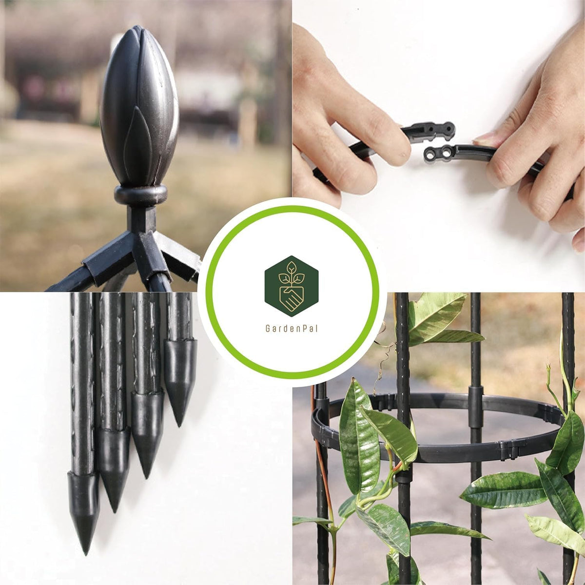 GardenPal Rustproof Metal Pipe Garden Obelisk Trellis, Tomato Cage and Plant Support for Climbing