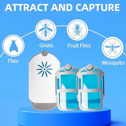 Flying Insect Trap Indoors, Gnat Killer Indoor Captures Fruit Flies, Mosquito and Gnats, Gnat Traps
