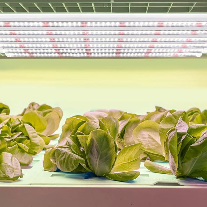 GYTF T5 Grow Lights, 408 LED-Bulb White Full Spectrum High PPFD Plant Light Strips for Indoor