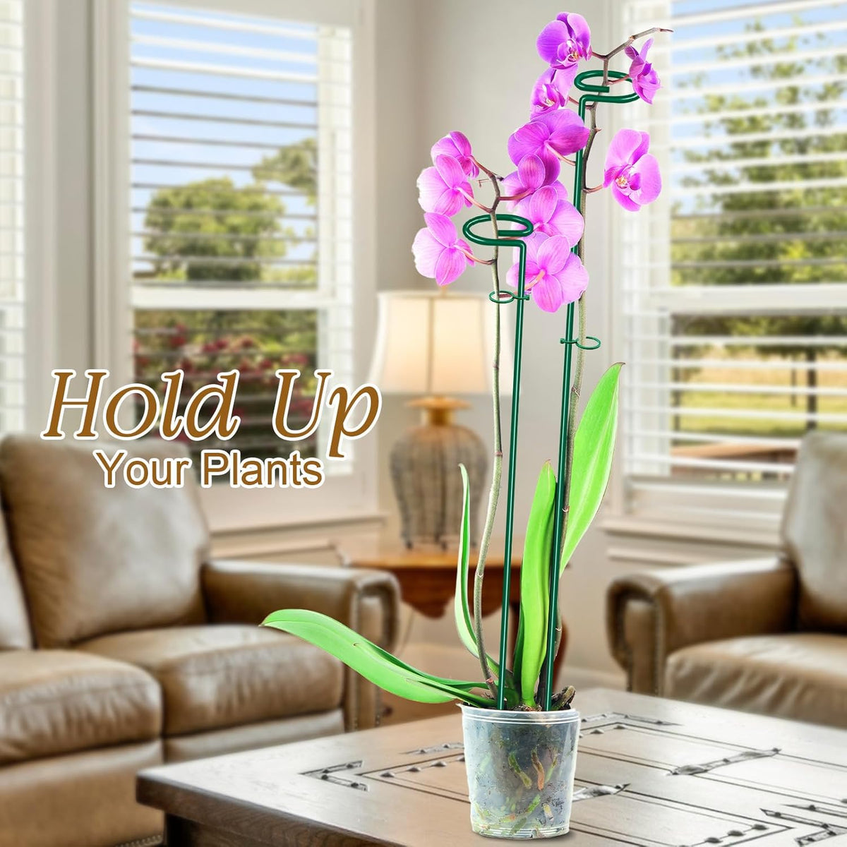 10 Pack Height Adjustable Plant Support Stakes (17" or 32" Inches), Metal Plant Stakes for Indoor