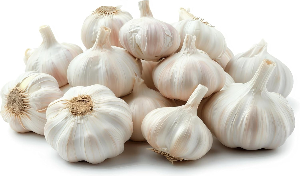 Garlic Bulbs for Seed - Fresh California SOFTNECK Garlic for Planting - Grow Your Own Garlic (20