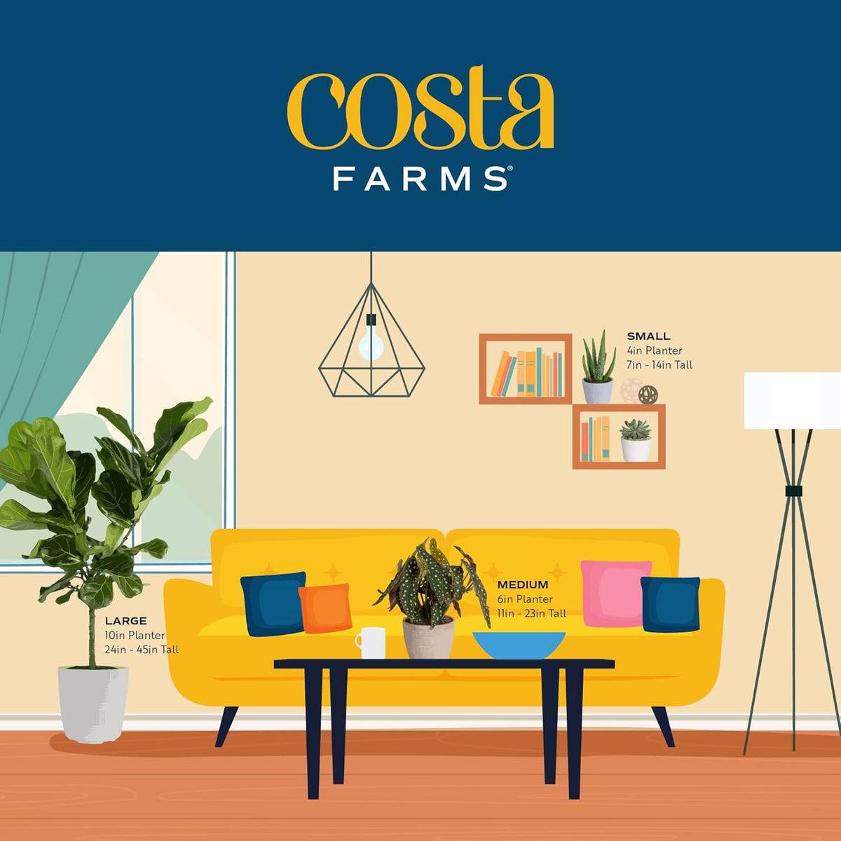 Costa Farms Monstera Swiss Cheese Plant, Live Indoor Plant, Easy to Grow Split Leaf Houseplant in