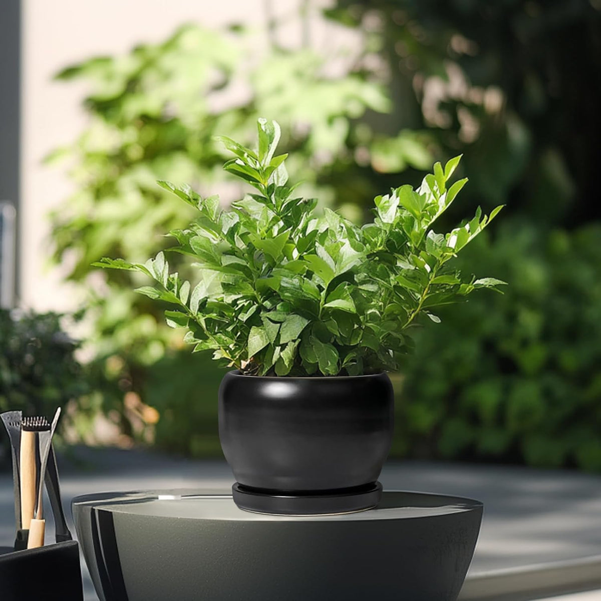 SQOWL Ceramic Plant Pot - 6 Inch Planter for Indoor Plants, Round Flower Pot with Drainage Hole and