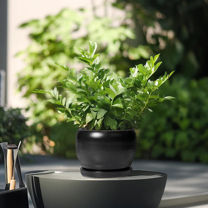 SQOWL Ceramic Plant Pot - 6 Inch Planter for Indoor Plants, Round Flower Pot with Drainage Hole and