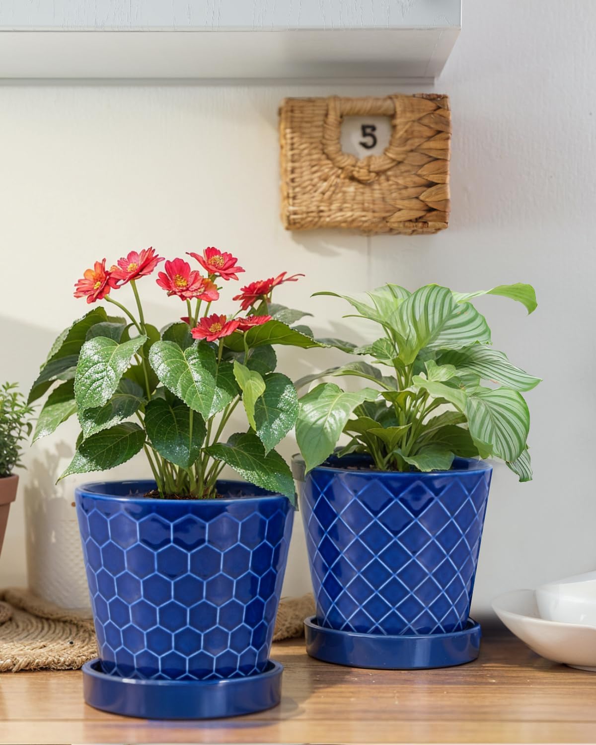 EFISPSS Ceramic Plant Pots, 5Inch Pots for Indoor Plants, Planters with Drainage Holes and Ceramic