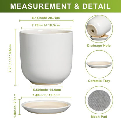 Ceramic Plant Pot - Modern 8 Inch Round Planter for Indoor Outdoor Plants with Drainage Hole and