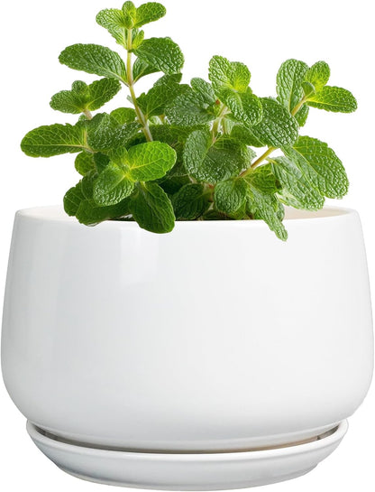 G EPGardening Ceramic Plants Pots - 4 inch Succulent Pots for Indoor Outdoor, Small Planter with