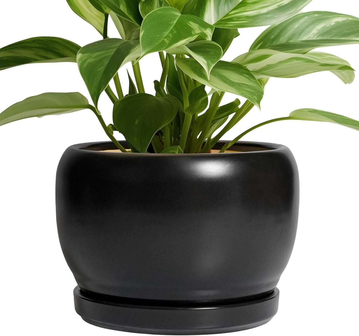 SQOWL Ceramic Plant Pots - 8 Inch Planter Indoor, Round Flower Pot with Drainage Hole and Saucer