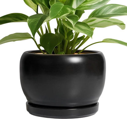 SQOWL Ceramic Plant Pots - 8 Inch Planter Indoor, Round Flower Pot with Drainage Hole and Saucer