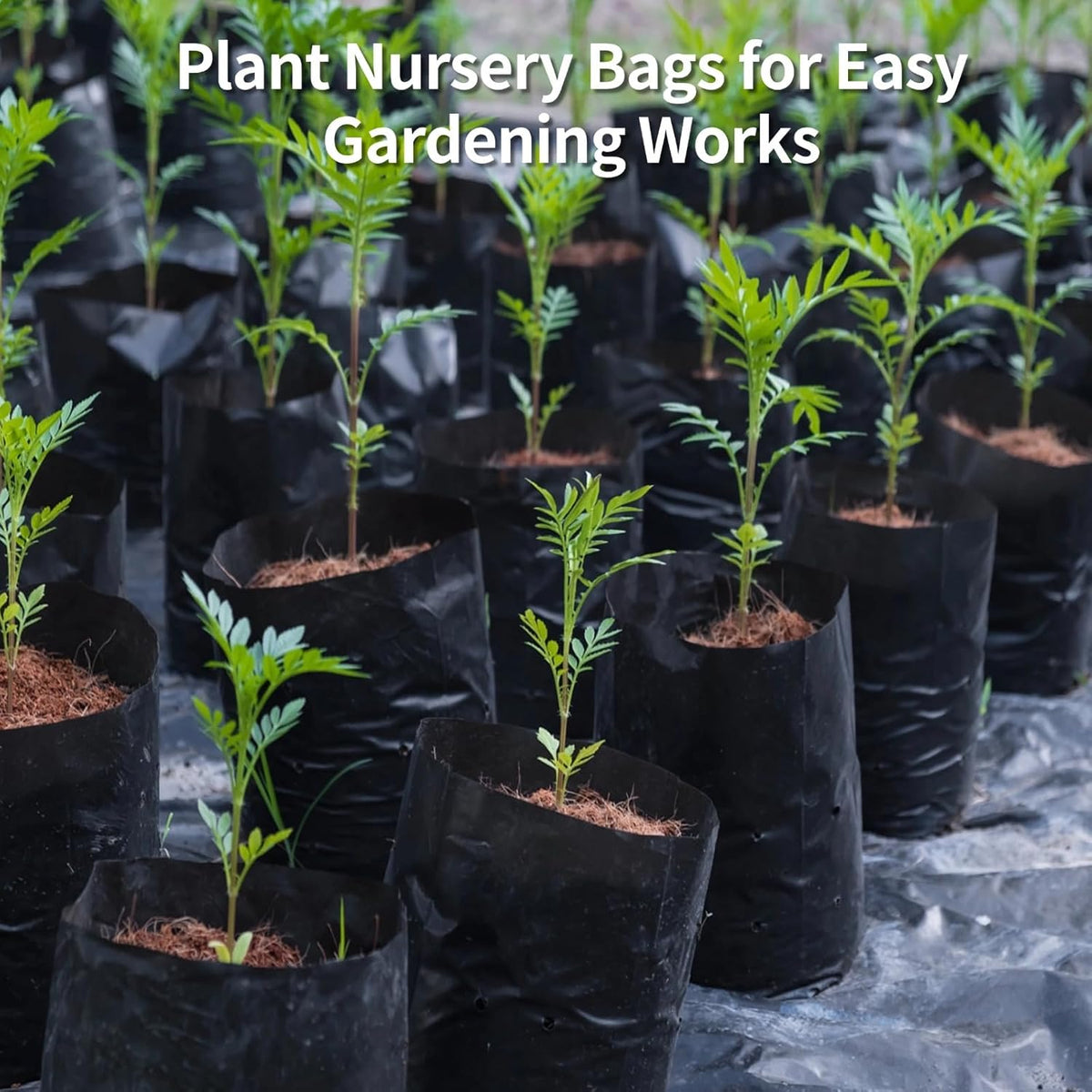 OMISTAR 100 PCS Plant Nursery Bags, Plastic Seedling Pots Container for Fruit Tree Flower Plant