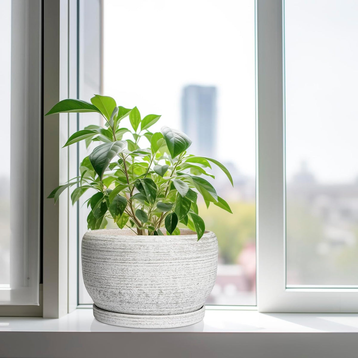SQOWL Ceramic Flower Pots - 10 Inch Plant Pot Indoor with Drainage Hole and Saucer, Modern Ceramic