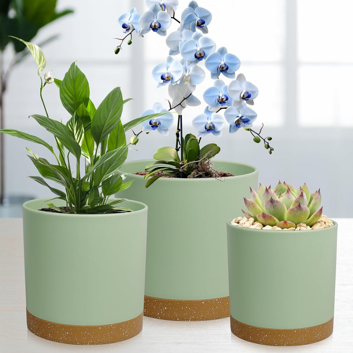 3 Pack 6/5/4 inch Cylindrical Flower Pots, Modern Small Round Plastic Plant Pots with Drainage