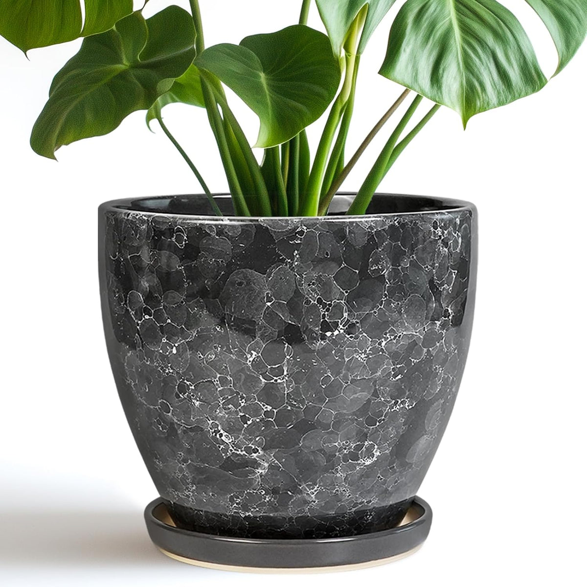 Ceraimc Planter - 8 Inch Plant Pot for Indoor Outdoor Plants, Decorative Round Planters, Flower Pot