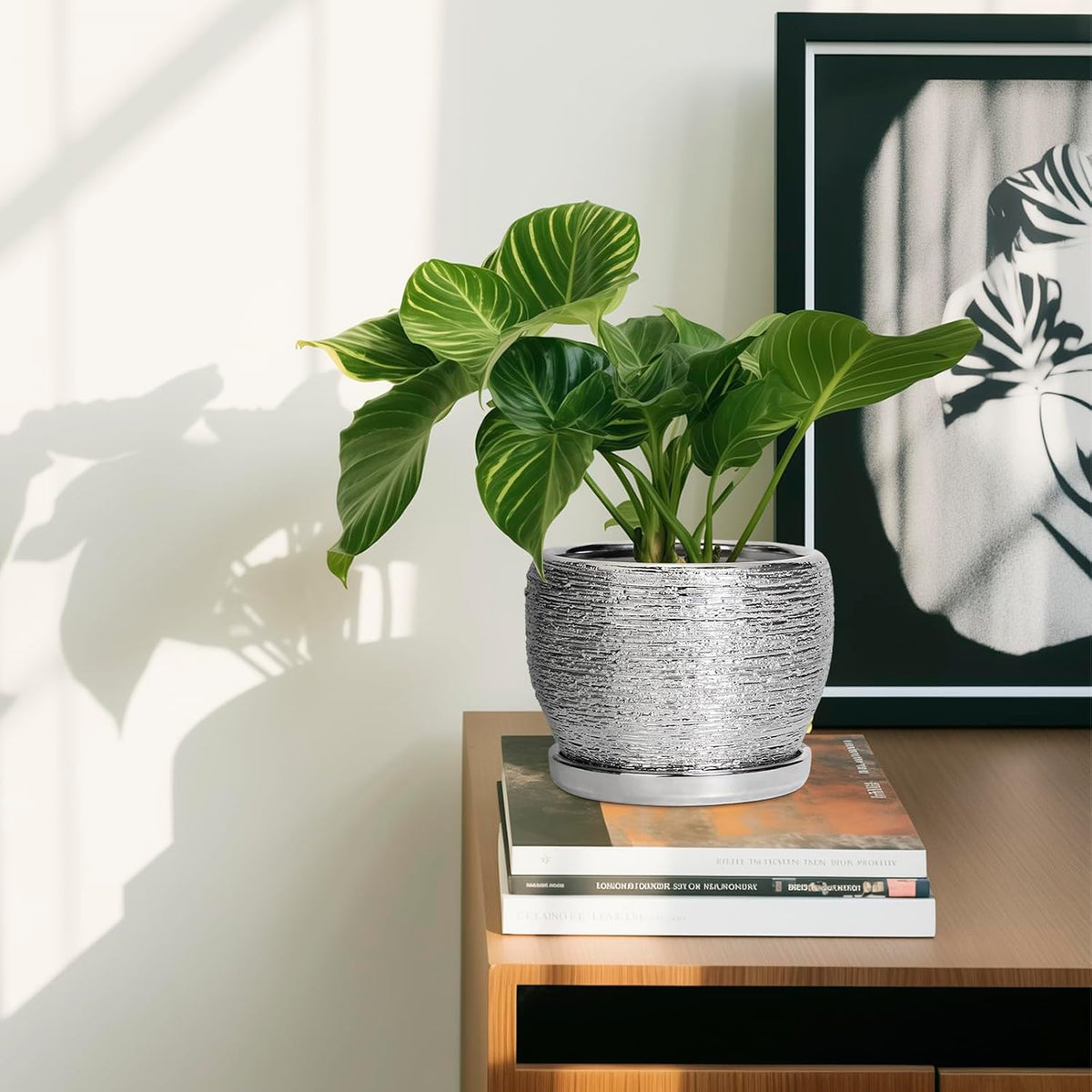 SQOWL Ceramic Plant Pots - 6 Inch Planter for Indoor Outdoor Plants, Modern Round Flower Pots with
