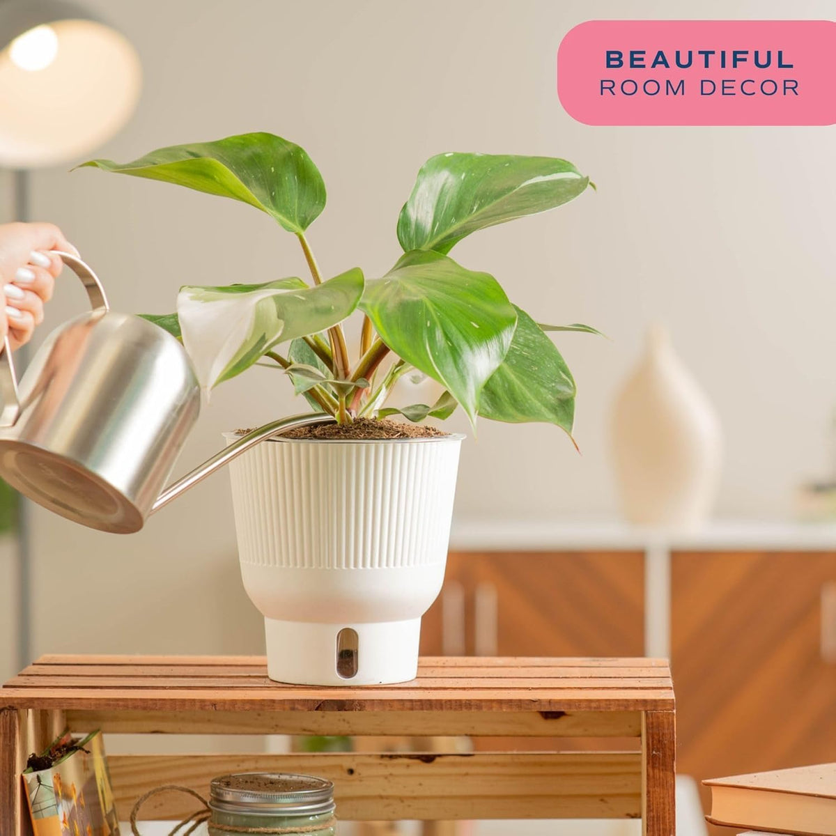 Costa Farms Philodendron White Knight, Rare Unique Live Indoor Plant in 6-Inch Self-Watering