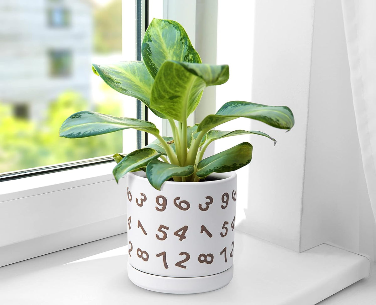 D'vine Dev Set of 2 Ceramic Planter Pots with Drainage Hole and Saucer, 6 Inch Plant Pots for