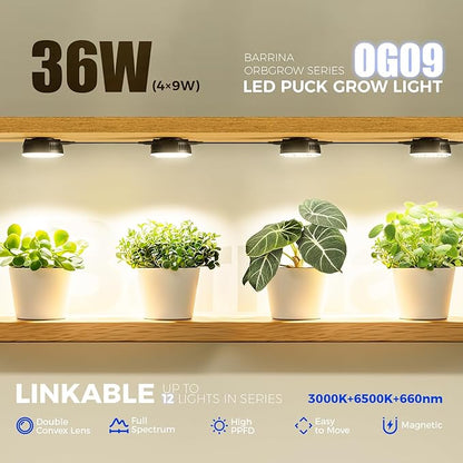 Barrina Orbgrow OG09 Puck Grow Light with Timer, 660nm Red LEDs, 36W(4 x 9W, 540 Watt Equiv), Full