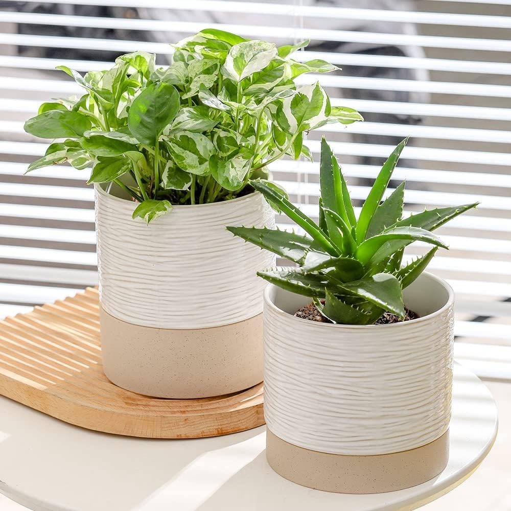 Nihow Self Watering Plant Pot: 6 Inch Ceramic Planter with Drainage Hole & Water Storage Plus for