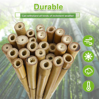 10pcs 1" D Thicker Heavy Duty Bamboo Stakes, 8FT Plant Stakes, Natural Garden Stakes for Tomato