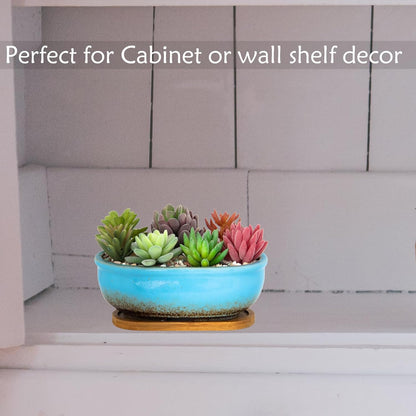 Succulent Pots, 7.9 Inch Long Rectangular Succulent Planters with Drainage Tray, Shallow Planters